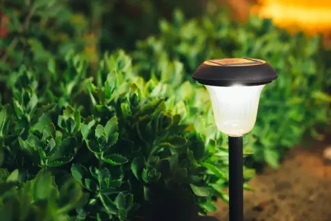 Solarna lampka ogrodowa świeci na tle zielonych roślin.